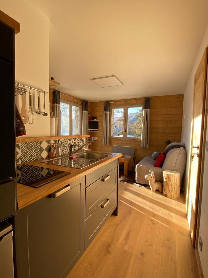 Apartament La Marmotte Qui Papote Le Grand-Bornand Zewnętrze zdjęcie