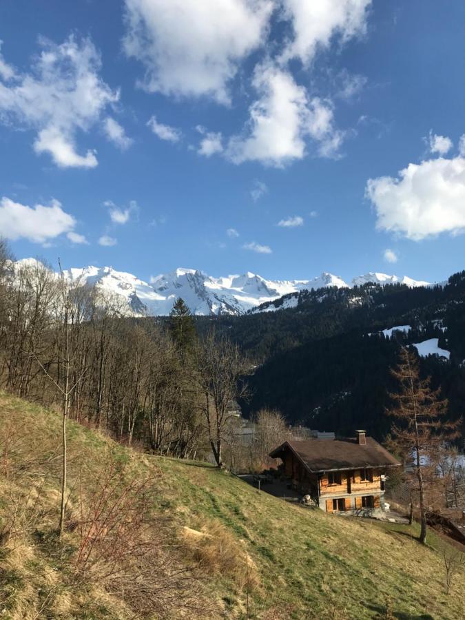 Apartament La Marmotte Qui Papote Le Grand-Bornand Zewnętrze zdjęcie