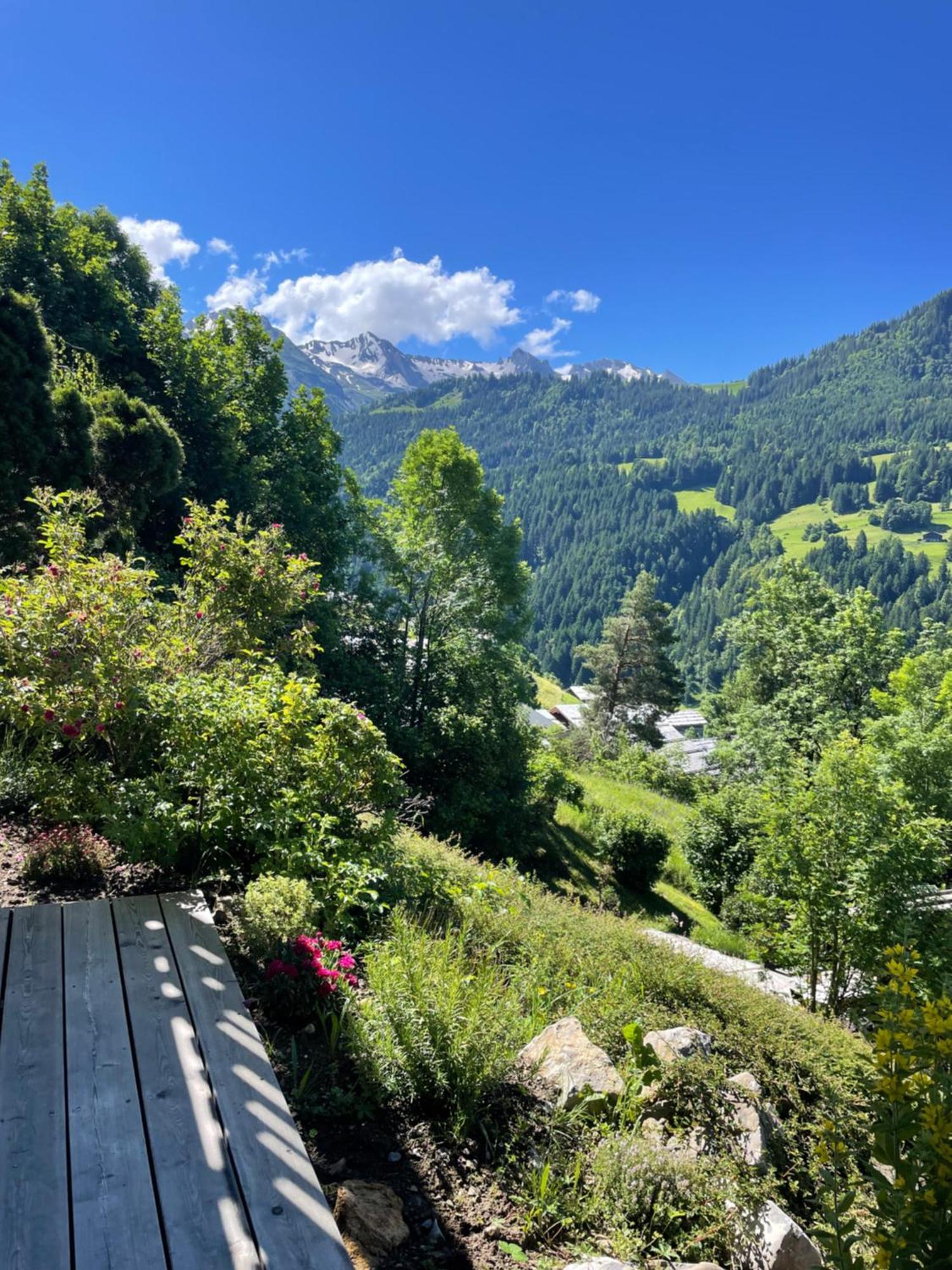Apartament La Marmotte Qui Papote Le Grand-Bornand Zewnętrze zdjęcie